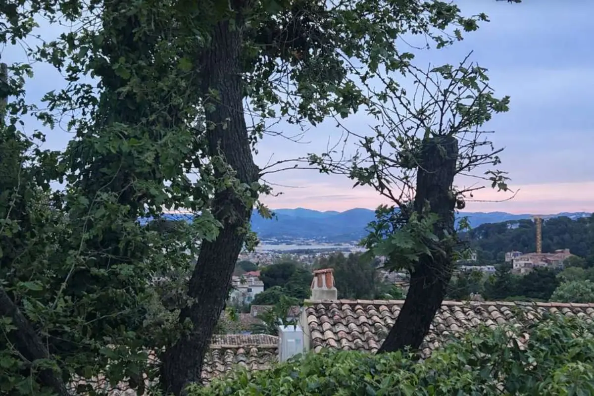 Les Toucans — view 3